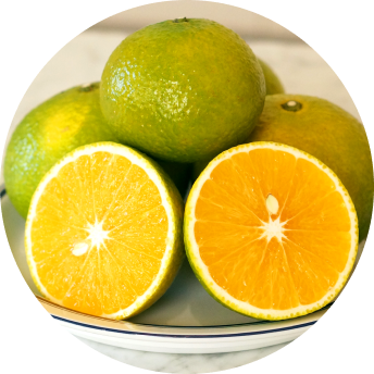 スイートスプリング