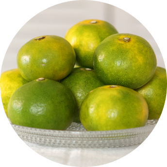 早生温州（温州みかん）